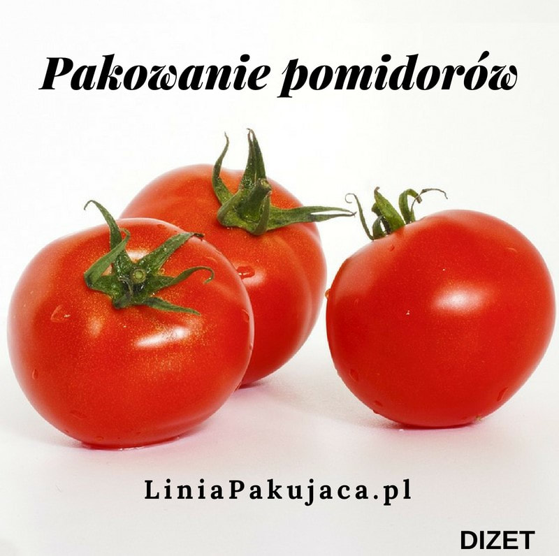 pakowanie pomidorów DI-ZET